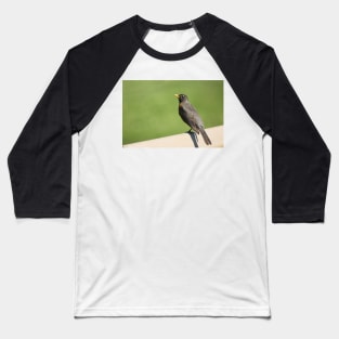 Robin Of Raymore Baseball T-Shirt